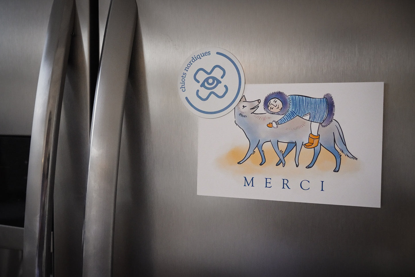 Aimant *LIVRAISON GRATUITE*