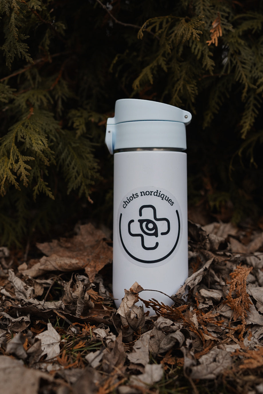 Autocollant transparent *LIVRAISON GRATUITE*