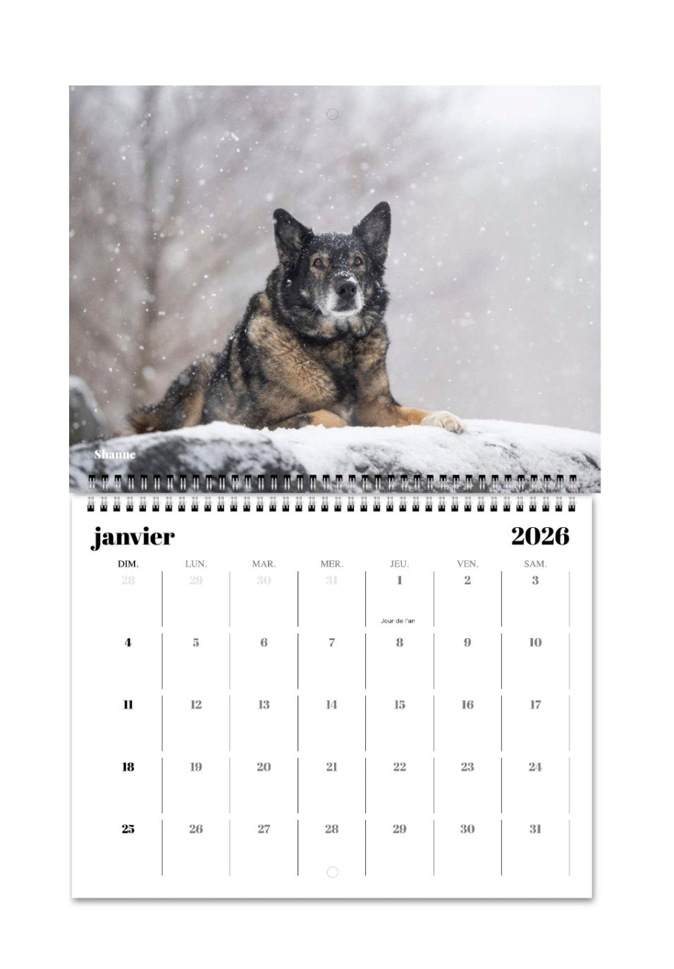 Calendriers muraux Chiots Nordiques 2026 *LIVRAISON INCLUSE*