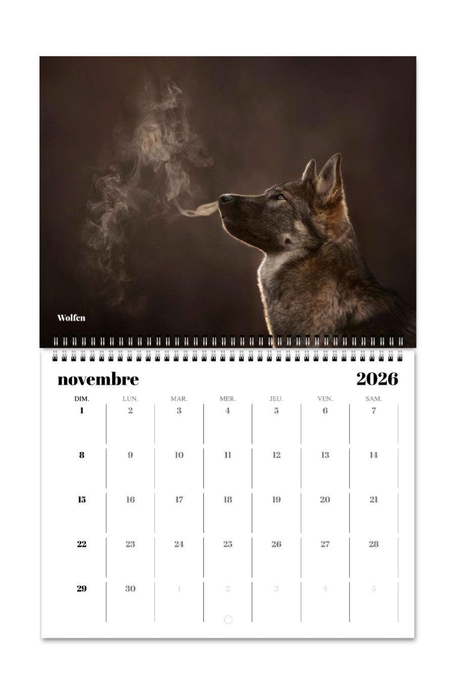 Calendriers muraux Chiots Nordiques 2026 *LIVRAISON INCLUSE*